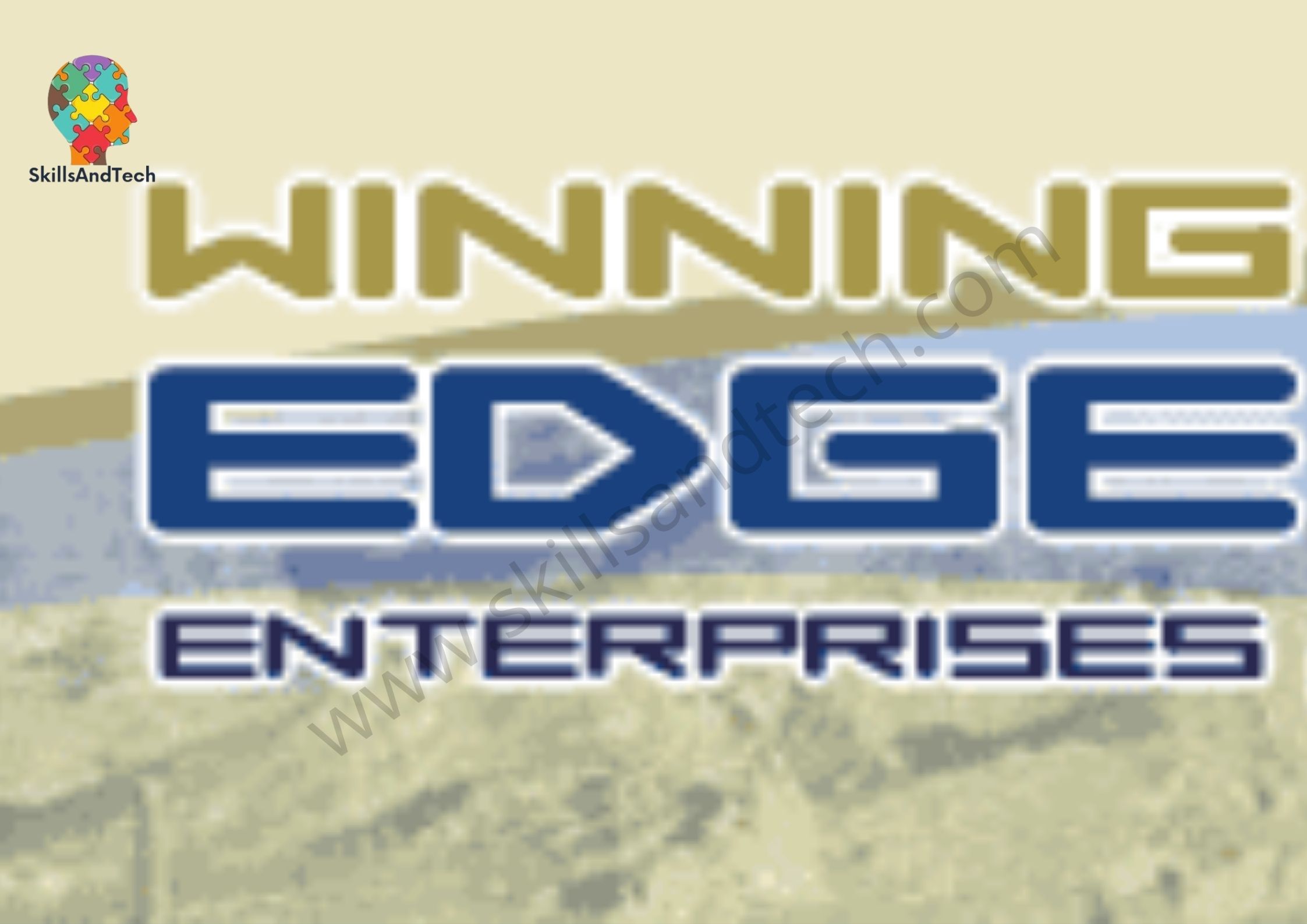 How To Get Winning Edge Enterprise Franchise| SkillsAndTech