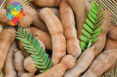 Tamarind Paste Making Business Cost, Investment, Profit, Requirements | SkillsAndTech