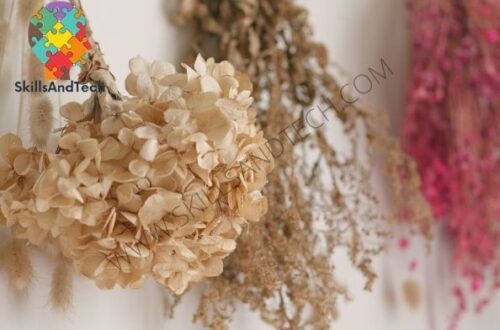 Dried Flower Business, How to start and Profit | SkillsAndTech