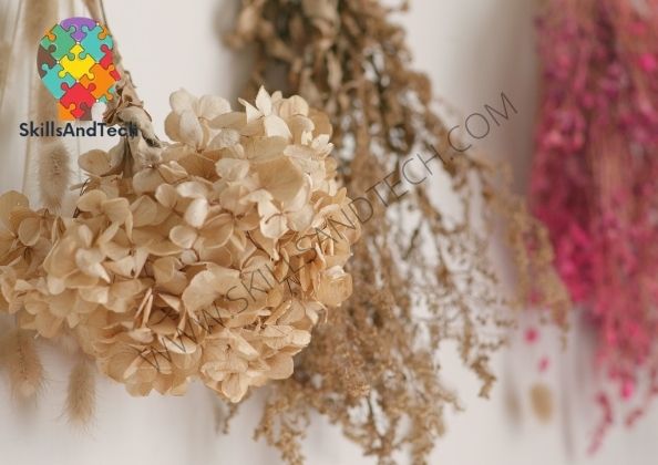 Dried Flower Business, How to start and Profit | SkillsAndTech