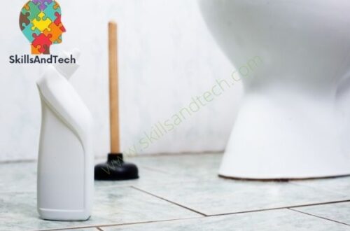 How to Start Toilet Cleaner Making Business In India Cost, Profit, Business Plan, Requirements | SkillsAndTech