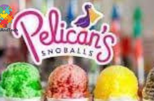 "Pelican’s SnoBalls" Franchise Cost in USA, Fees, Profit, Apply, Pros, Cons, Reviews| SkillsAndTech