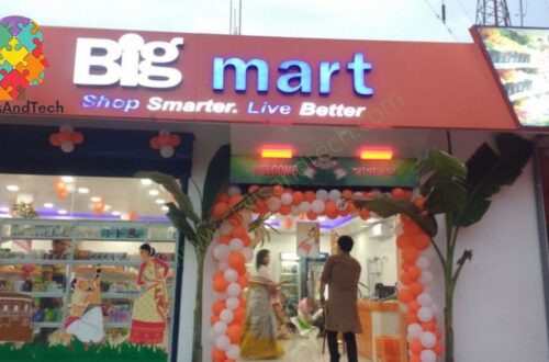 Big Mart  Franchise Cost, Profit, Wiki, How to Apply | SkillsAndTech