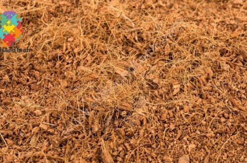 How To Start Coir Pith/Coco Peat Blocks Making Business | SkillsAndTech