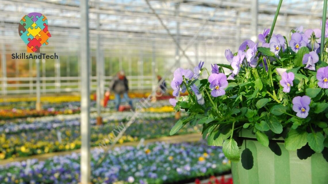 How To Start Nursery Plant Business In India | SkillsAndTech