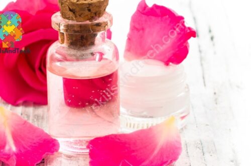 How To Start Rose Water Making Business In India | SkillsAndTech