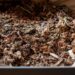 How To Start Vermicompost Making Business | SkillsAndTech