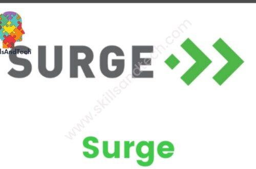 What Is Sequoia Surge Acceleration Program, How To Apply For It | SkillsAndTech