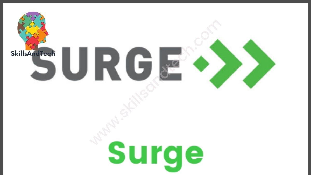 What Is Sequoia Surge Acceleration Program, How To Apply For It | SkillsAndTech