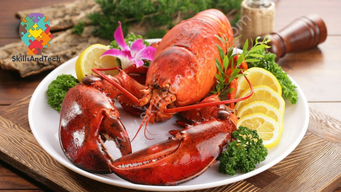 Cousins Maine Lobster Franchise In USA Cost, Profit, How to Apply, Requirement, Investment, Review | SkillsAndTech