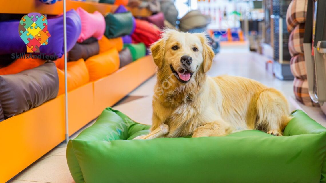 How Much Does it Cost to Open a Pet Store | SkillsAndTech