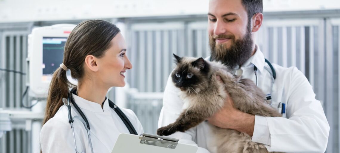 How To Become A Veterinarian Doctor | SkillsAndTech