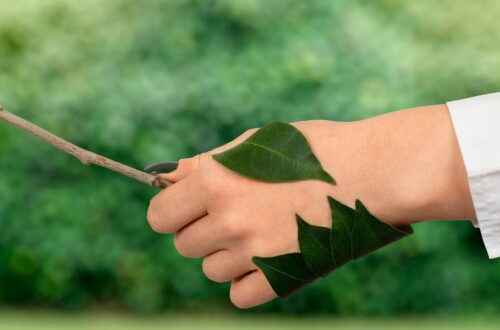 How To Become a Environmentalist Complete Guide | SkillsAndTech