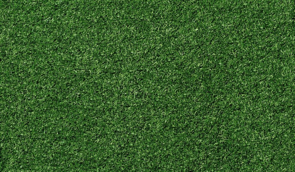 how-to-start-an-artificial-turf-business-skillsandtech-skillsandtech