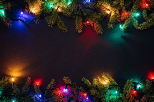 How To Start Christmas Light Installation Business | SkillsAndTech