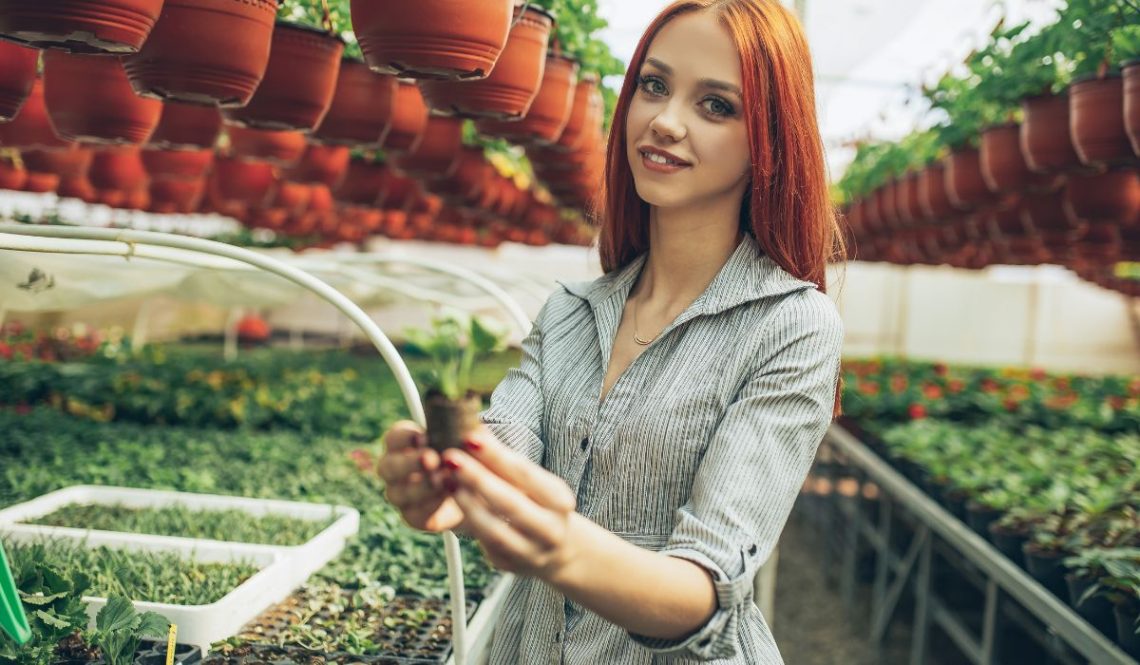 How To Start Gardening Business | SkillsAndTech