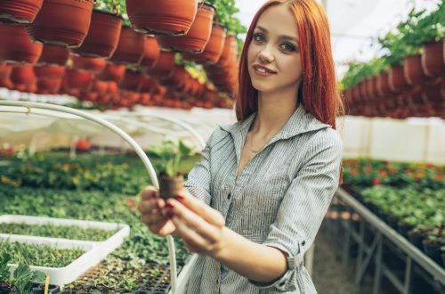 How To Start Gardening Business | SkillsAndTech