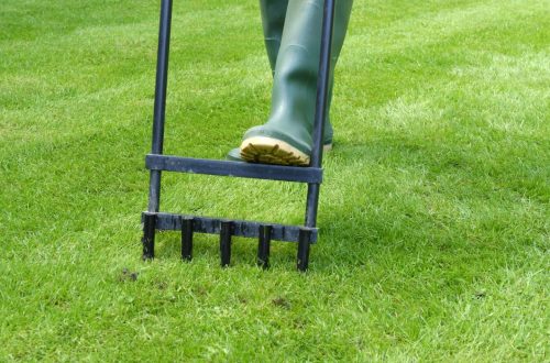 How To Start Lawn Aeration | SkillsAndTech