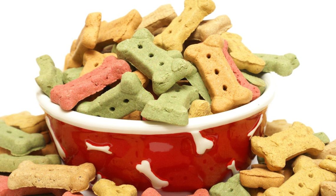 How to Start a Dog Treat Business | SkillAndTech