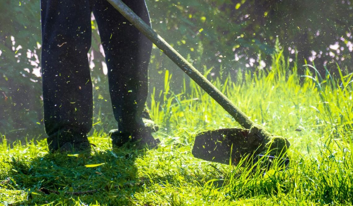 How to Start a Lawn Care Business | SkillsAndTech