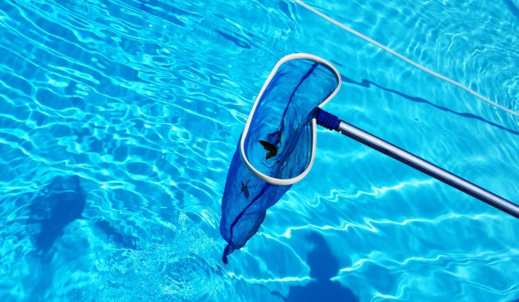 How to Start a Pool Cleaning Business SkillsAndTech SkillsAndTech