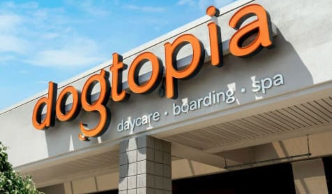 Dogtopia Franchise Cost, Profit, How to Apply, Requirement, Investment, Review | SkillsAndTech