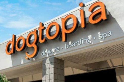 Dogtopia Franchise Cost, Profit, How to Apply, Requirement, Investment, Review | SkillsAndTech