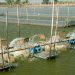 How To Start A Shrimp Farming Business | SkillsAndTech