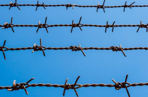 How To Start Barbed Wire Making Business | SkillsAndTech