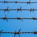 How To Start Barbed Wire Making Business | SkillsAndTech