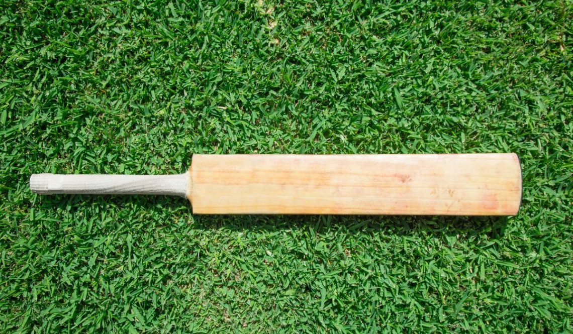 How To Start Cricket Bat Making Business | SkillsAndTech