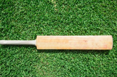 How To Start Cricket Bat Making Business | SkillsAndTech