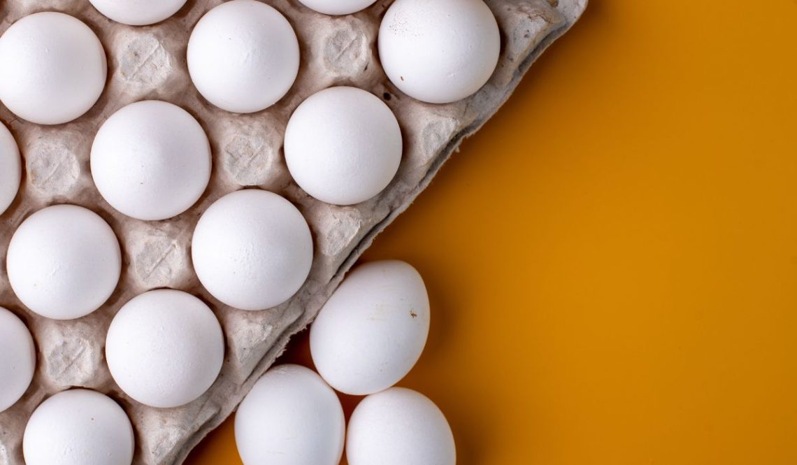 How To Start Egg Tray Making Business | SkillsAndTech