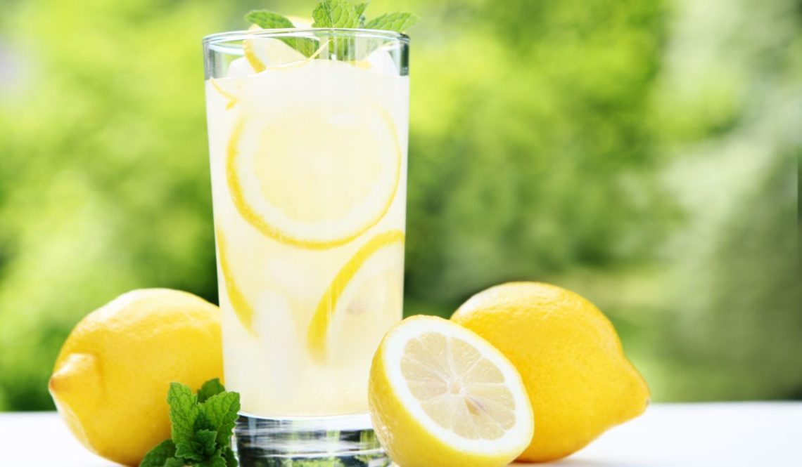 How To Start Lemonade Making Business | SkillsAndTech