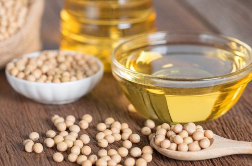 How To Start Soybean Oil Production Making Business | SkillsAndTech