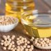 How To Start Soybean Oil Production Making Business | SkillsAndTech