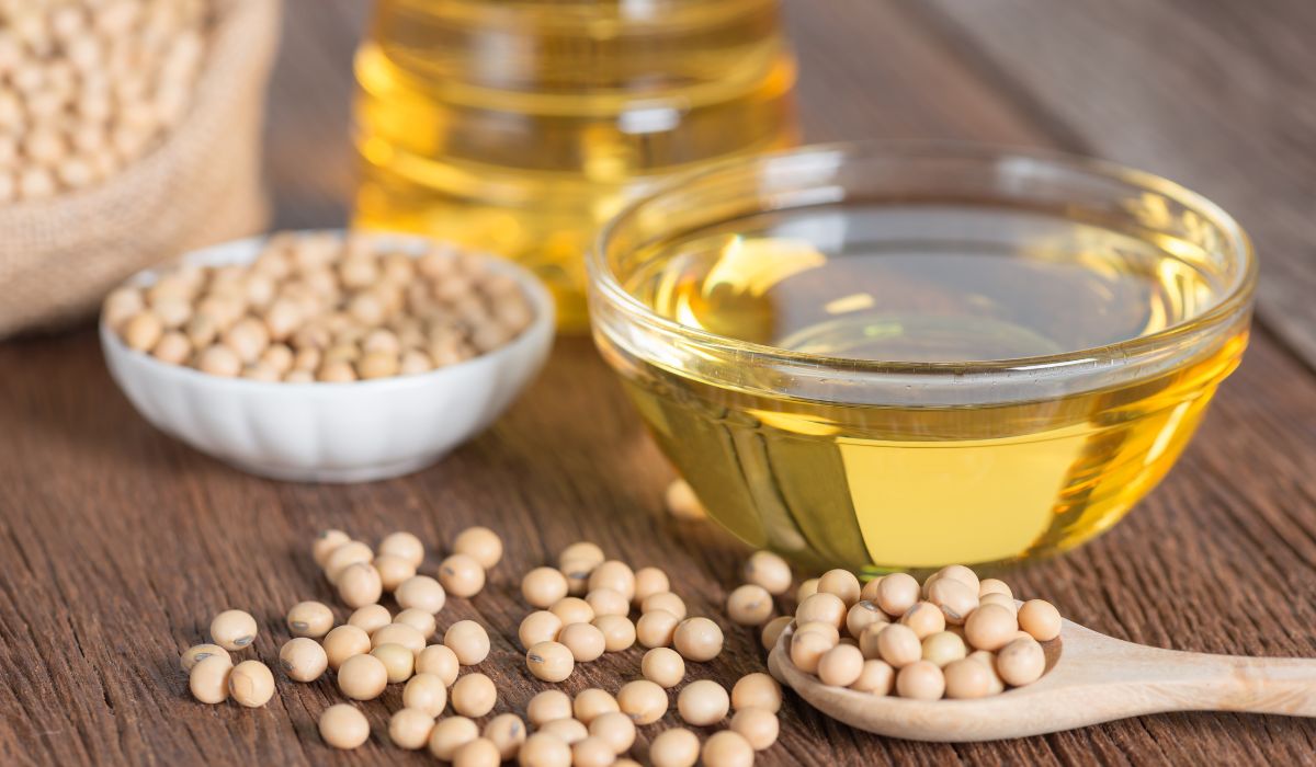 How To Start Soybean Oil Production Making Business SkillsAndTech