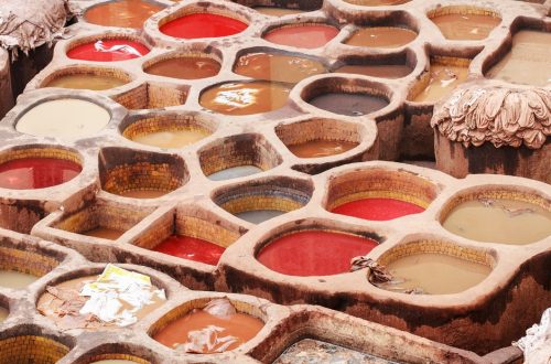 How To Start Tannery Business | SkillsAndTech