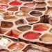 How To Start Tannery Business | SkillsAndTech