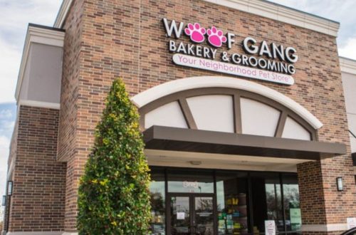 Woof Gang Bakery Franchise Cost, Profit, How to Apply, Requirement, Investment, Review | SkillsAndTech