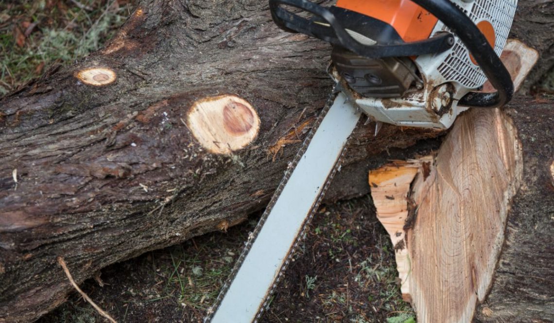 How To Start Your Own Tree Cutting Business | SkillsAndTech