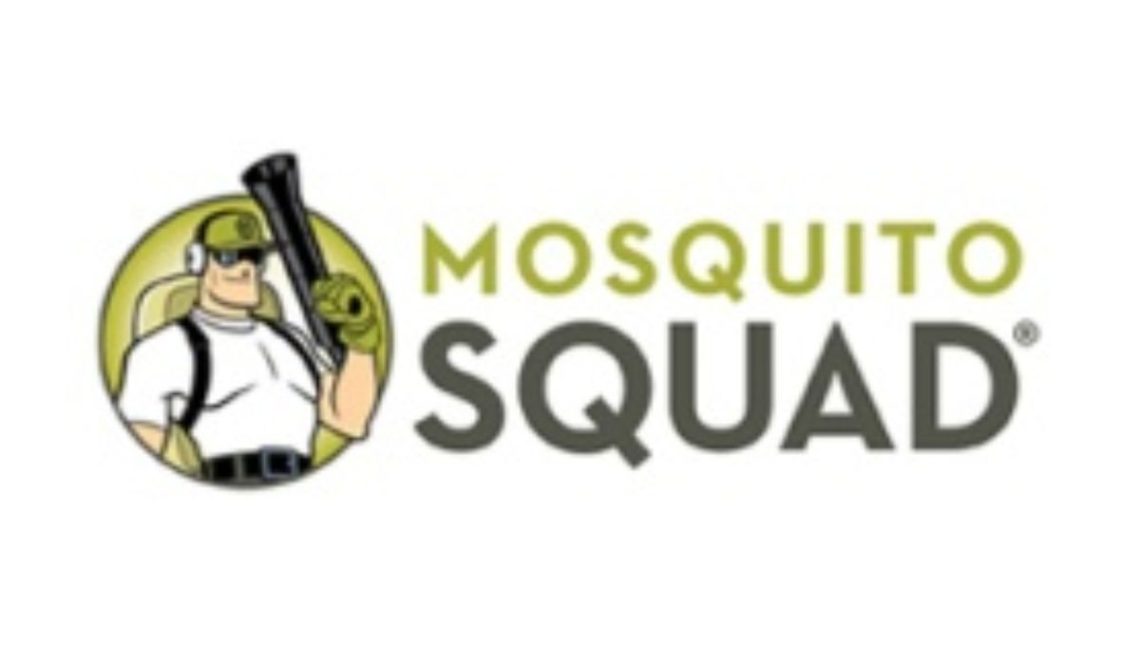 Mosquito Squad Franchise