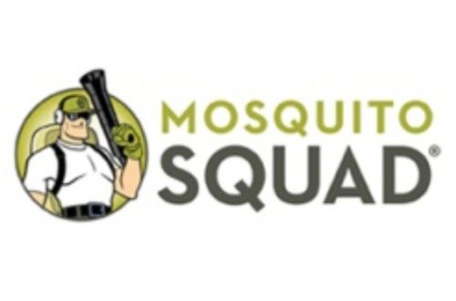 Mosquito Squad Franchise